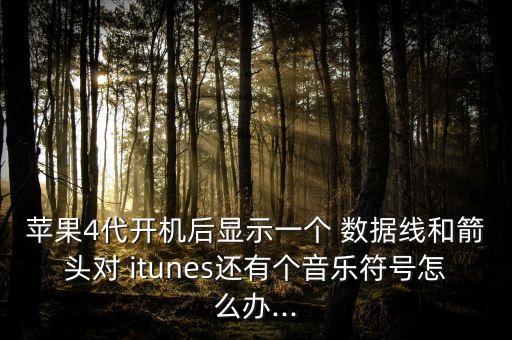 itunes圖標(biāo)數(shù)據(jù)線,連接itunes必須用原裝數(shù)據(jù)線嗎