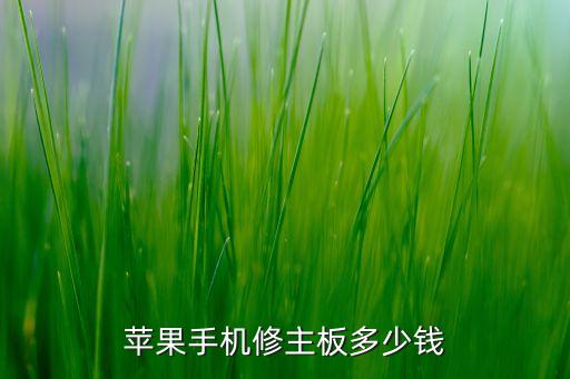 蘋(píng)果主板，蘋(píng)果 356 970主板一樣嗎