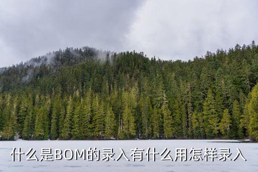 什么是BOM的錄入有什么用怎樣錄入