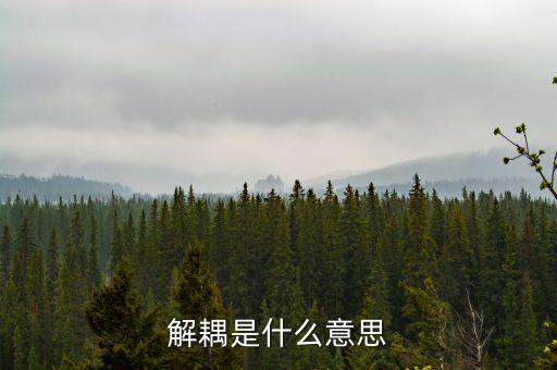 解耦是什么意思
