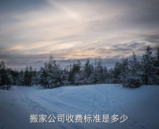 搬家公司收費(fèi)標(biāo)準(zhǔn)是多少