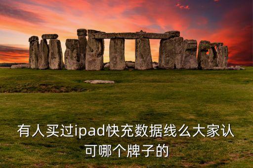 有人買過ipad快充數(shù)據(jù)線么大家認(rèn)可哪個牌子的