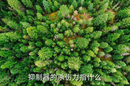抑制器的殺傷力指什么