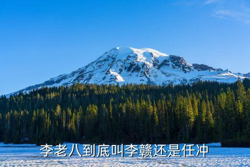 李老八到底叫李贛還是任沖