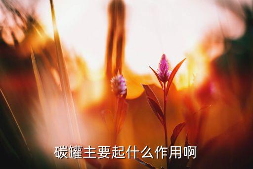 碳罐主要起什么作用啊