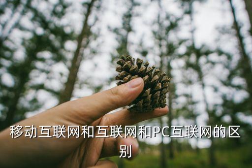 移動互聯(lián)網(wǎng)和互聯(lián)網(wǎng)和PC互聯(lián)網(wǎng)的區(qū)別