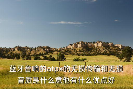 藍(lán)牙音響的atpx的無(wú)損傳輸和無(wú)損音質(zhì)是什么意他有什么優(yōu)點(diǎn)好