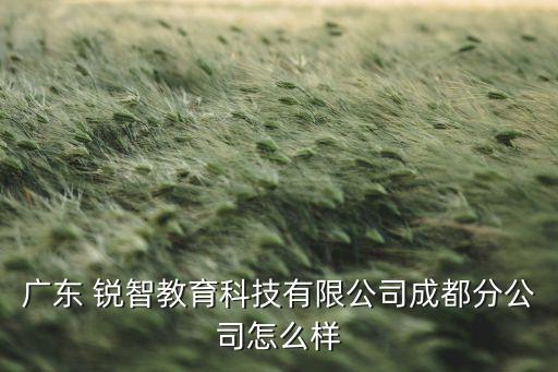深圳銳智機器人,深圳優(yōu)必選機器人公司