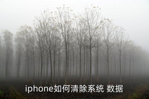 蘋果數(shù)據(jù)怎么刪除啊