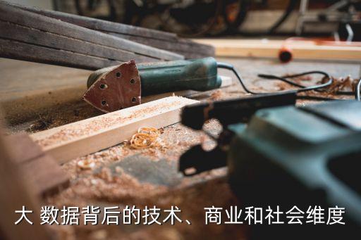 大 數(shù)據(jù)背后的技術(shù)、商業(yè)和社會(huì)維度
