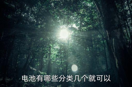電池類型，電池都分幾種型號