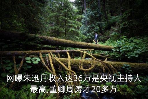 網(wǎng)曝朱迅月收入達(dá)36萬是央視主持人最高,董卿周濤才20多萬