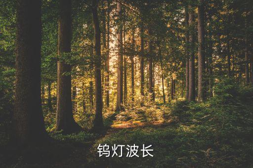 鎢燈波長