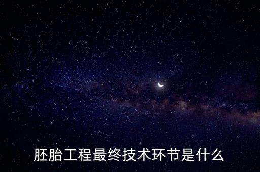 技術(shù)環(huán)節(jié)，胚胎工程最終技術(shù)環(huán)節(jié)是什么