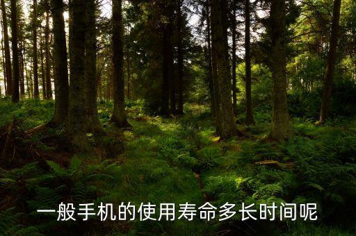 一般手機(jī)的使用壽命多長時間呢