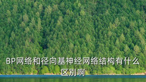徑向基神經(jīng)網(wǎng)絡(luò)，BP網(wǎng)絡(luò)和徑向基神經(jīng)網(wǎng)絡(luò)結(jié)構(gòu)有什么區(qū)別啊