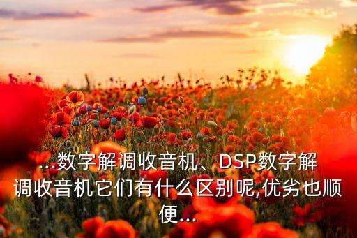 dsp的缺點(diǎn)大數(shù)據(jù),跑鞋的dsp大底和橡膠大底哪個(gè)好?