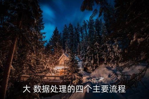 大 數(shù)據(jù)處理的四個主要流程