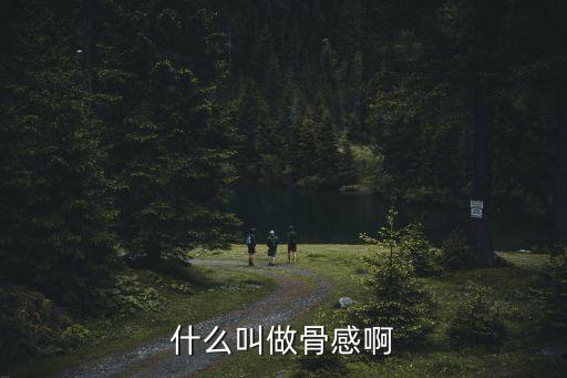 骨感，骨感是什么意思