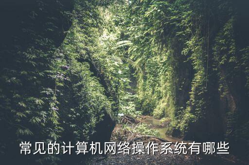 常見的計(jì)算機(jī)網(wǎng)絡(luò)操作系統(tǒng)有哪些