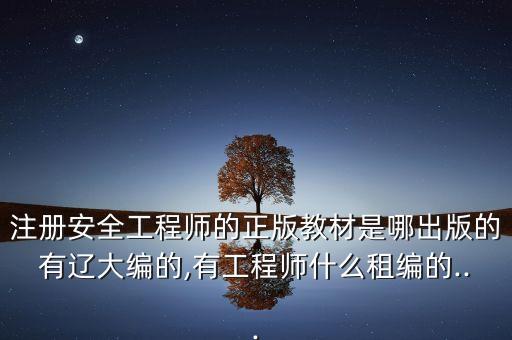 注冊安全工程師的正版教材是哪出版的有遼大編的,有工程師什么租編的...