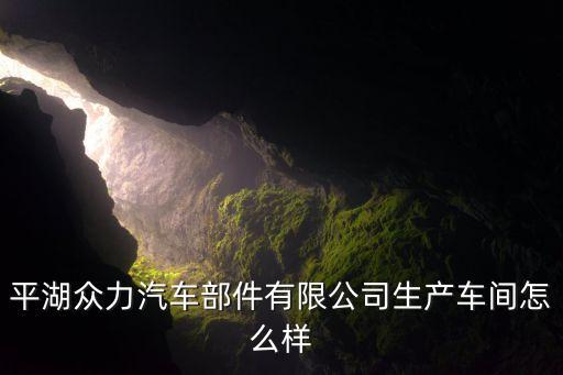 平湖眾力汽車部件有限公司生產(chǎn)車間怎么樣