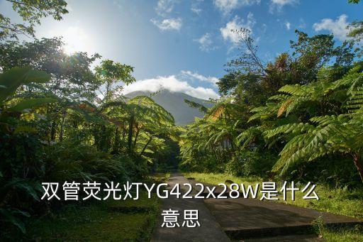 雙管熒光燈YG422x28W是什么意思