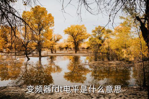 變頻器fdt電平是什么意思