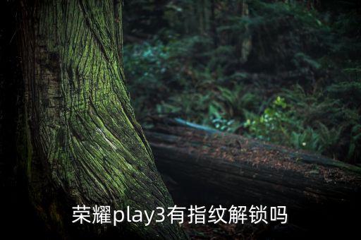 榮耀play3有指紋解鎖嗎