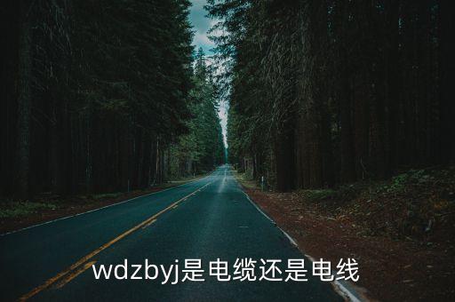 wdzbyj是電纜還是電線