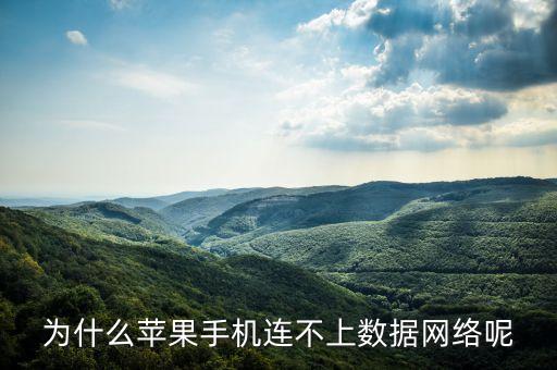 為什么蘋果手機連不上數(shù)據(jù)網(wǎng)絡(luò)呢