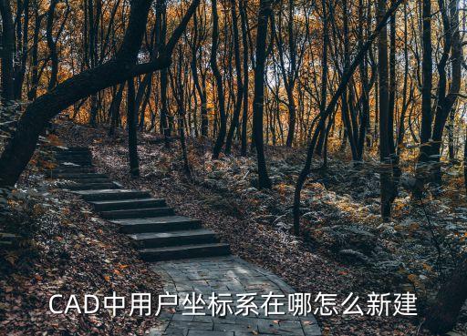 用戶坐標系，cad坐標系是什么用戶坐標系的作用是是什么一直不能理解坐標