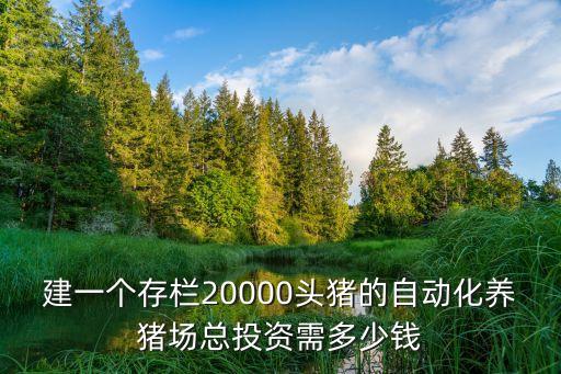 建一個(gè)存欄20000頭豬的自動(dòng)化養(yǎng)豬場(chǎng)總投資需多少錢