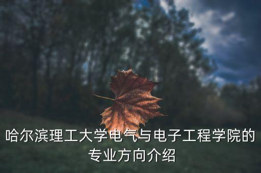 哈爾濱理工大學(xué)電氣與電子工程學(xué)院的 專業(yè)方向介紹
