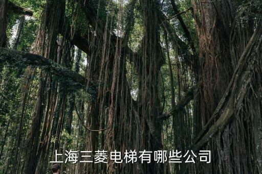 上海三菱電梯有哪些公司