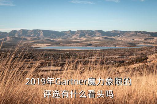 魔力象限，虛擬化gartner魔力象限是權(quán)威的嗎