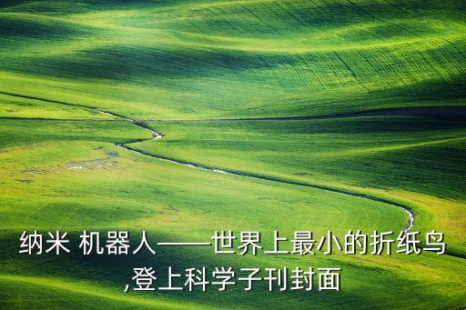 微型機器人 區(qū)塊鏈,機器人區(qū)塊鏈app