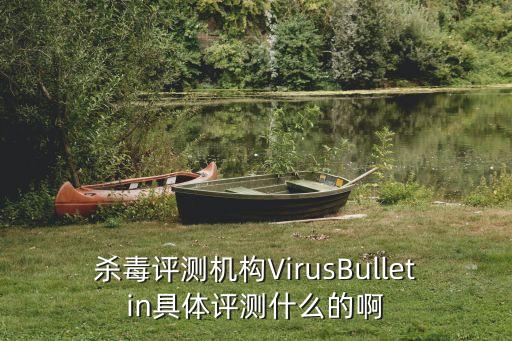 殺毒評(píng)測(cè)機(jī)構(gòu)VirusBulletin具體評(píng)測(cè)什么的啊