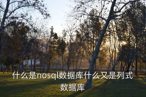 列式數(shù)據(jù)庫(kù)，什么是nosql數(shù)據(jù)庫(kù)什么又是列式數(shù)據(jù)庫(kù)