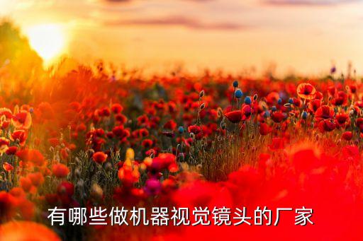 深圳市智佳自動化有限公司,中國安防知名企業(yè)綜合類企業(yè)
