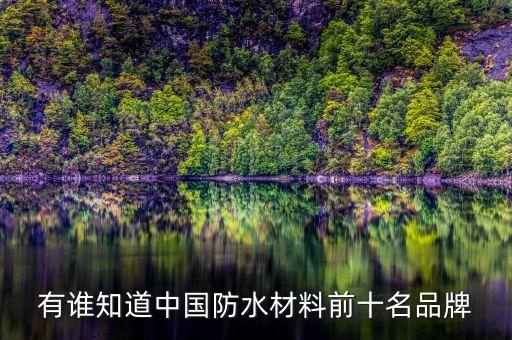 有誰知道中國防水材料前十名品牌