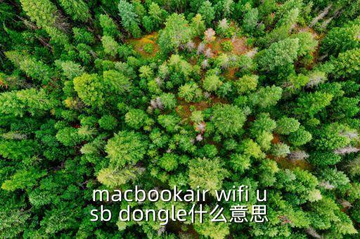 macbookair wifi usb dongle什么意思