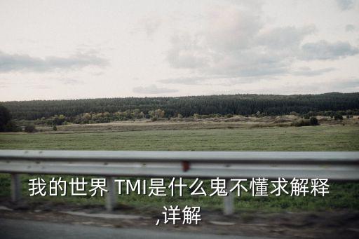 我的世界 TMI是什么鬼不懂求解釋,詳解