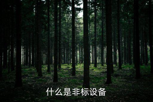 什么是非標(biāo)設(shè)備