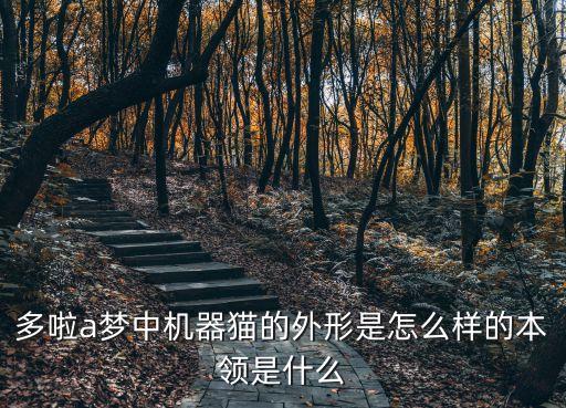 多啦a夢中機器貓的外形是怎么樣的本領是什么