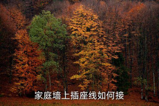 電插座怎么接線，求助這個(gè)電源插座怎么接線謝謝