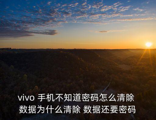 vivo 手機不知道密碼怎么清除 數(shù)據(jù)為什么清除 數(shù)據(jù)還要密碼