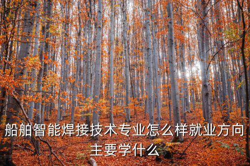 船舶智能焊接技術(shù)專業(yè)怎么樣就業(yè)方向主要學(xué)什么