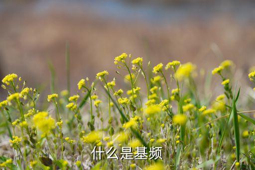 什么是基頻