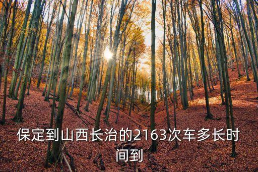 2163，2163次列車到石家莊哪個(gè)站